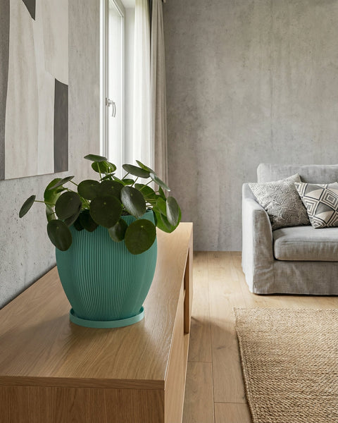 A turquoise planter with a trailing plant sits on a wooden table in a hallway with dark green walls and a jute rug.