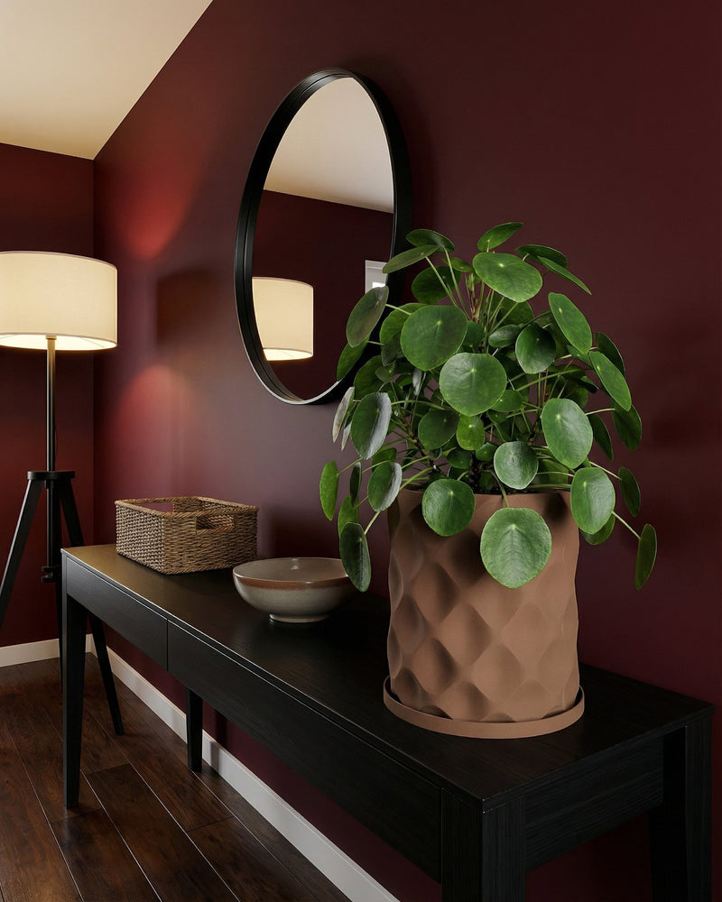 A brown planter pot with a Pilea plant sits on a black table, with a round mirror and a lamp in the background.