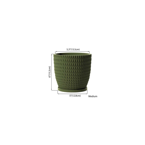 Avocado Green Vine
