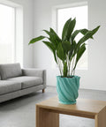 A light blue planter pot sits on a wooden table next to a gray sofa with a throw blanket in a room with dark green walls.