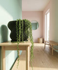 A green planter pot with a plant inside sits on a concrete surface near a window. A table and lamp are in the background.