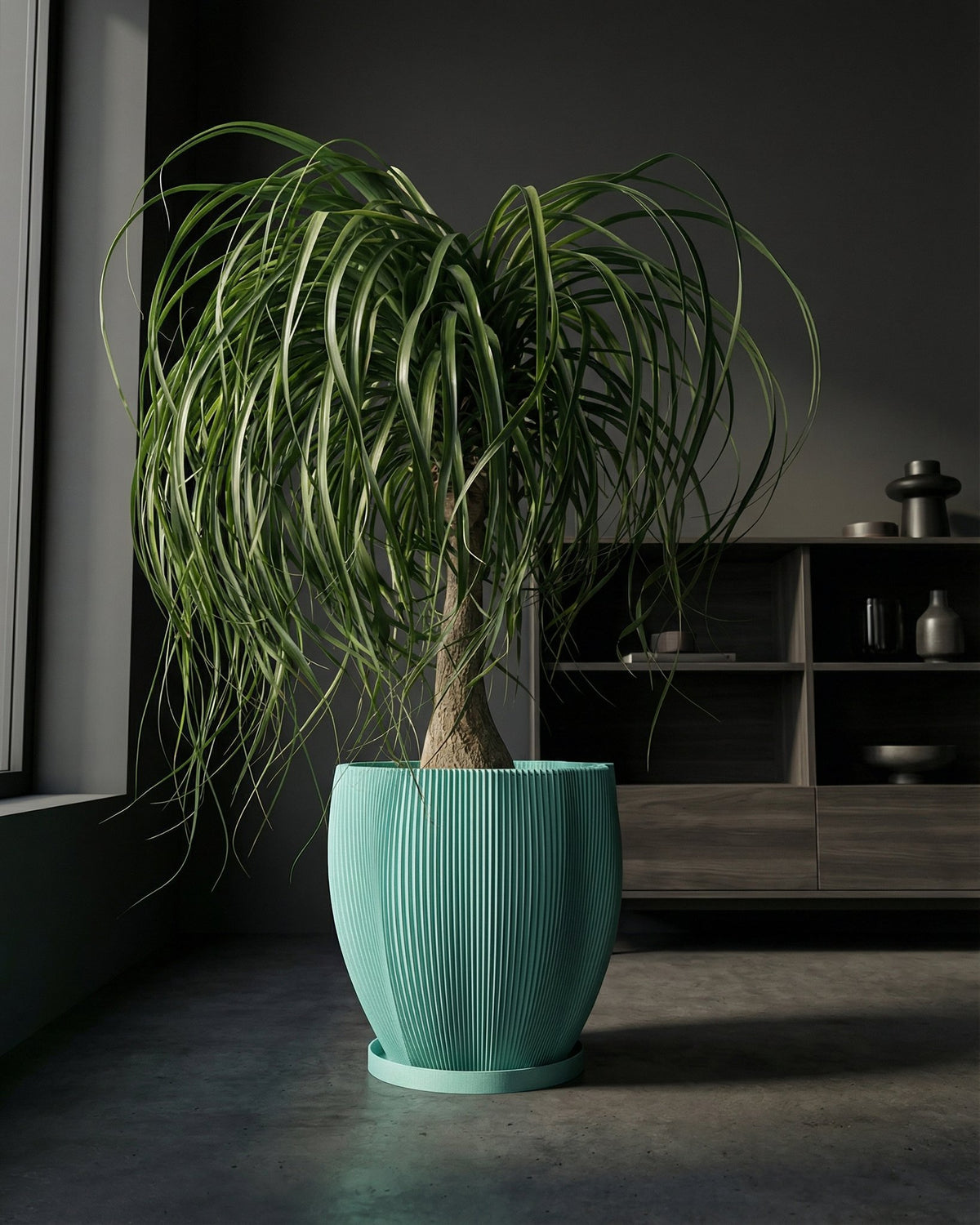 A Philodendron Pink Princess plant sits in a textured, light blue planter pot on a wooden surface. The background is a yellow wall.