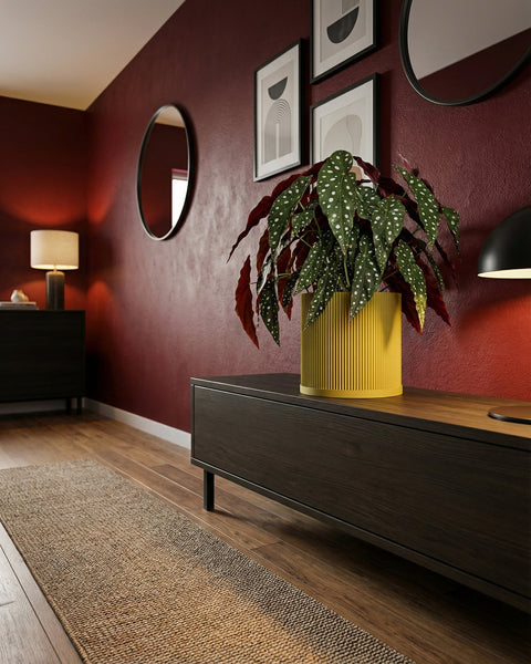 A yellow planter pot with a polka dot plant sits on a dark wood cabinet in a room with red walls.
