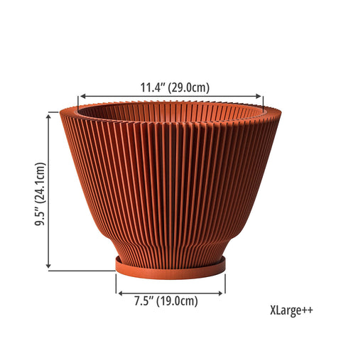 Terracotta Orange Dawn