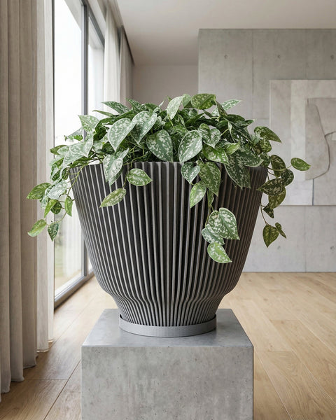A large, modern planter pot filled with a lush, green plant. The pot is gray with vertical lines and sits on a concrete pedestal. The background includes a window with curtains and a concrete wall with artwork.