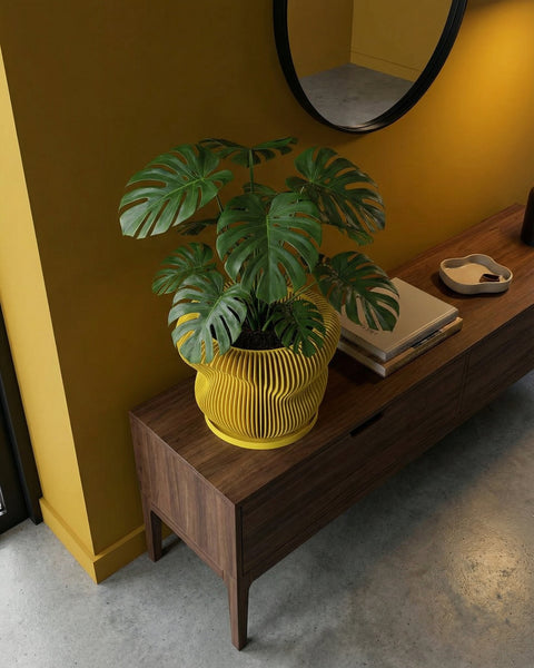 A monstera plant in a yellow, ribbed planter pot sits on a dark wood floor next to a window. A lamp and books are on a cabinet in the background.
