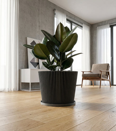 A potted plant with patterned leaves sits on a wooden windowsill in a gray geometric planter pot, illuminated by sunlight.