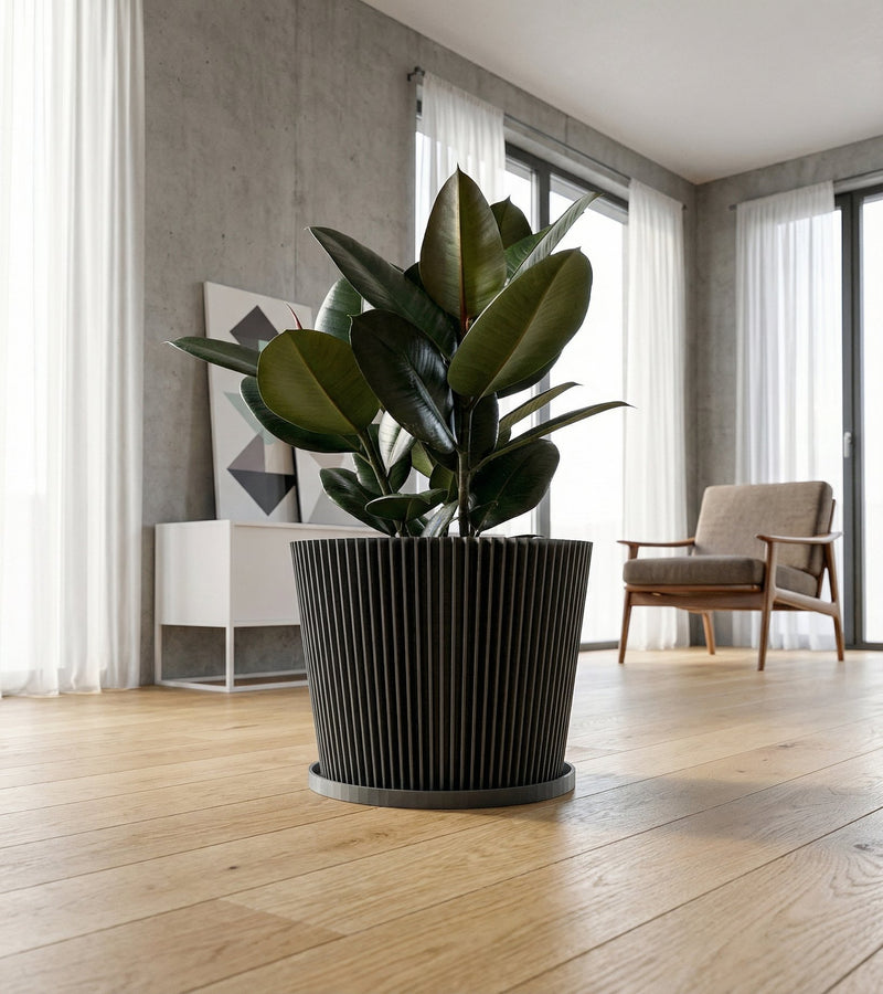 A potted plant with patterned leaves sits on a wooden windowsill in a gray geometric planter pot, illuminated by sunlight.