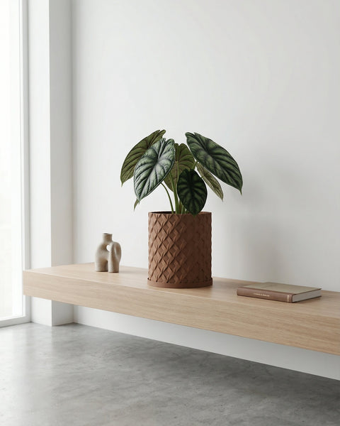 A brown planter pot with a textured design holds a large green plant with water droplets on its leaves, next to a gray couch.