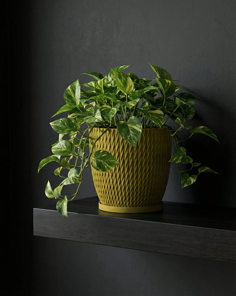 A vibrant green pothos plant spills from a textured, mustard-yellow planter pot, resting on a dark shelf against a charcoal wall.