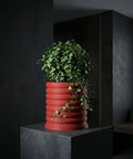 A red, ribbed planter pot sits atop a dark gray pedestal, filled with lush green ivy. The background is a dark, textured wall.