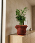 A plant in a ribbed, round, terracotta-colored planter sits on a wooden windowsill next to a bright window.