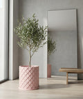 A pink planter pot with a green plant sits on a wooden table in a blue room with a round mirror.