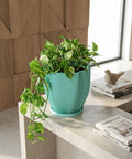 A light blue planter with a plant sits on a wooden windowsill in front of a window.