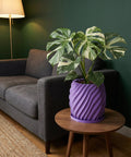 A Monstera plant in a purple, twisted planter pot sits on a wooden side table next to a gray couch.