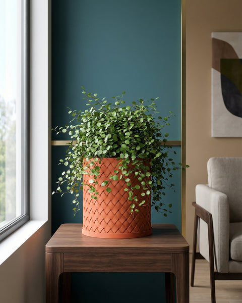 A woven orange planter pot sits on a wooden table next to a window, filled with a lush green plant.