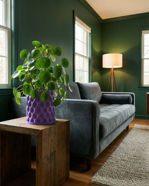 A Pilea peperomioides plant in a purple planter sits on a wooden side table next to a gray couch in a green room.