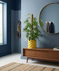 A yellow planter pot with a green plant on a wooden cabinet against a blue wall with a round mirror.