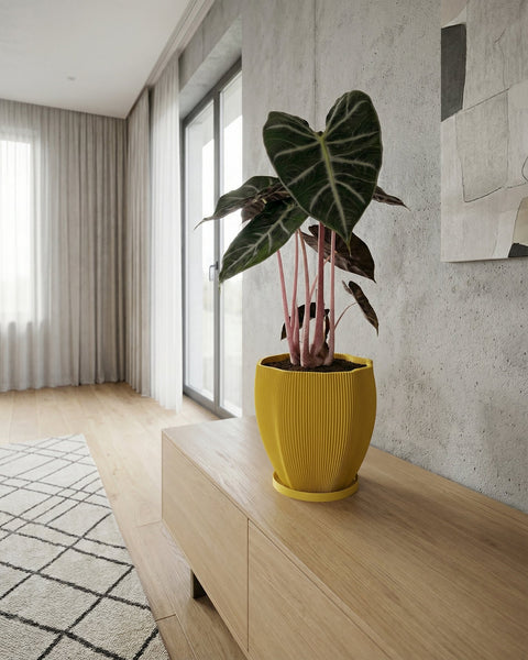A bright yellow planter pot with a green plant sits on a white windowsill next to a window with sheer white curtains.