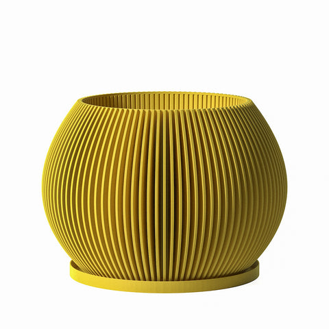 Lemon Yellow Melon