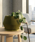 A vibrant green plant with heart-shaped leaves sits nestled in a modern, olive-green planter pot. The pot features a unique, vertically ribbed design. The plant and pot rest on a dark wooden surface, with a dark wall and a shelf displaying minimalist pottery in the background.