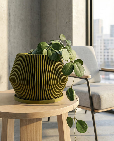 A vibrant green plant with heart-shaped leaves sits nestled in a modern, olive-green planter pot. The pot features a unique, vertically ribbed design. The plant and pot rest on a dark wooden surface, with a dark wall and a shelf displaying minimalist pottery in the background.
