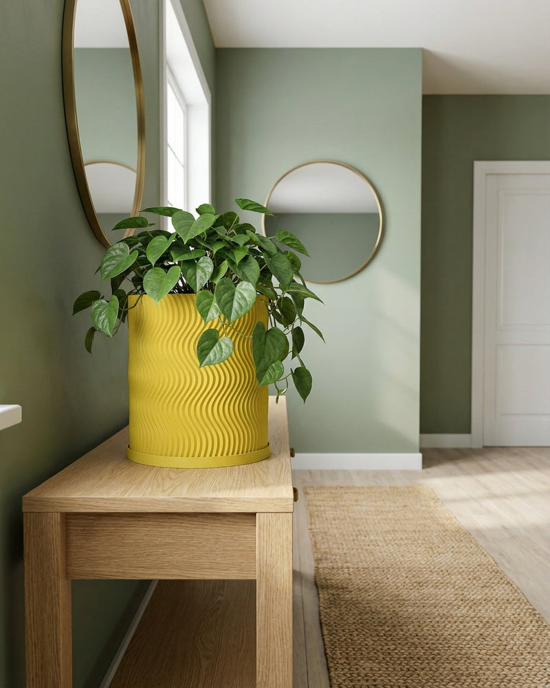 A yellow planter pot with a green plant sits on a wooden table in a room with green walls and round mirrors.