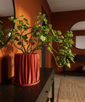 A red planter pot with a textured surface sits on a gray floor, holding a small tree with green leaves. A wooden cabinet is nearby.
