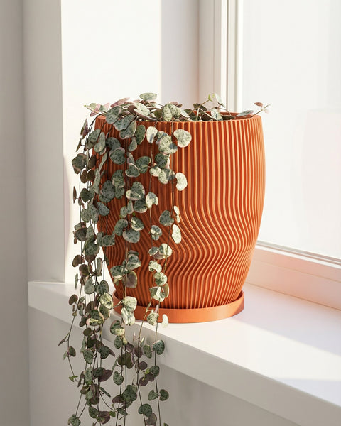 A String of Hearts plant in an orange planter pot sits on a white windowsill. The pot has a unique, ridged design.