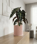 A pink planter pot with a green plant sits on a wooden table next to books and a gold lamp.