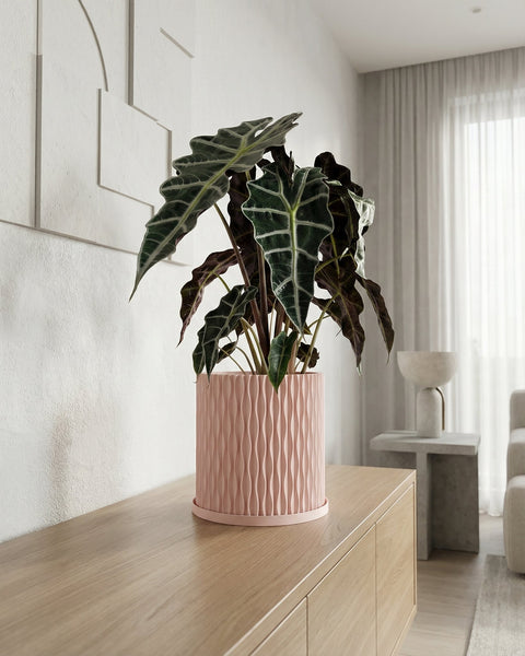 A pink planter pot with a green plant sits on a wooden table next to books and a gold lamp.