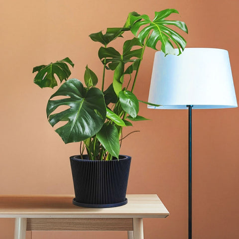 Deep Ocean Blue Flux