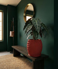 A red planter pot with a plant sits on a dark wooden bench in a room with dark green walls and a round gold mirror.