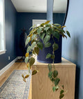 A vibrant green plant cascades from a navy blue planter pot, adding a touch of nature to the room.