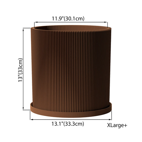 Nut Brown Ray