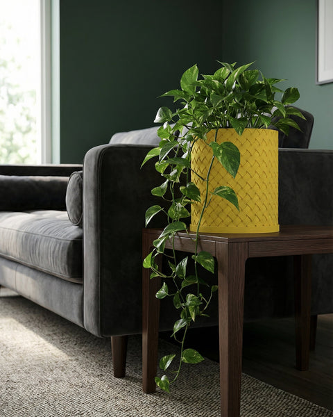 A vibrant yellow planter pot sits atop a dark wood side table, overflowing with lush green leaves. A gray sofa is in the background.