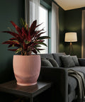 A pink planter pot with a ribbed design sits on a dark wood table next to a gray couch in a living room. A plant with red and green leaves is in the pot.