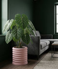 A large green plant in a pink, ridged planter pot sits on a wooden floor in a living room with a gray sofa and dark green walls.