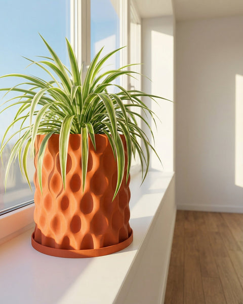A spider plant in an orange textured planter pot sits on a windowsill with sunlight streaming in.