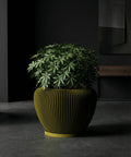 A green plant sits in a modern, vertically-ribbed planter pot on a dark floor against a dark background.