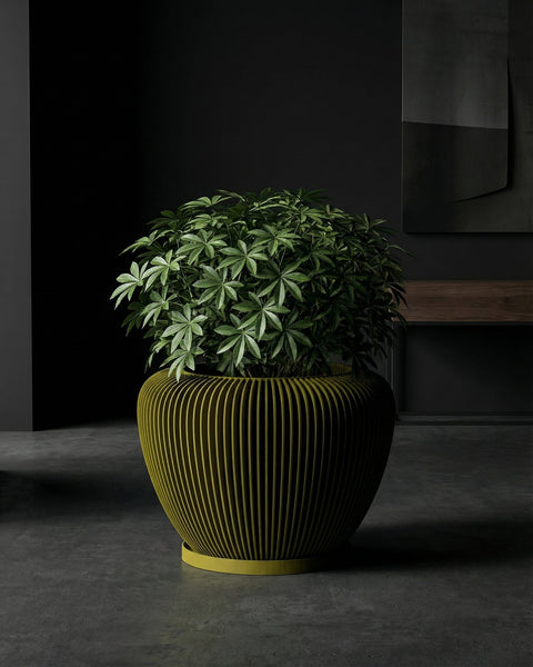 A green plant sits in a modern, vertically-ribbed planter pot on a dark floor against a dark background.