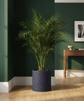 A large indoor palm plant sits in a dark blue woven planter pot on a light wood floor against a dark green wall.