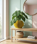 A close-up shot showcases a vibrant yellow planter pot with a unique ribbed texture, holding a lush green Pilea peperomioides, commonly known as the Chinese money plant. The pot sits atop a sleek, wooden dresser, with a modern art piece and decorative object subtly placed in the background. The scene is bathed in soft, natural light, highlighting the plant's glossy leaves and the pot's distinctive design.
