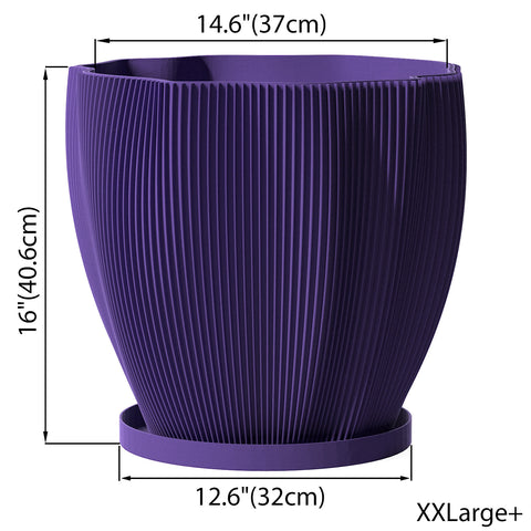 Lavender Coconut
