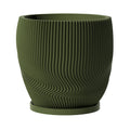 Avocado Green Risa