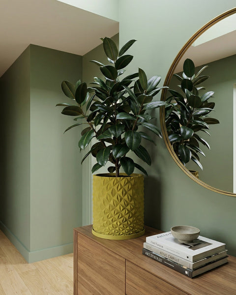 A rubber plant in a yellow geometric planter sits on a wooden cabinet next to a round mirror. Books and a small bowl are on the cabinet.