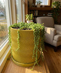A string of pearls plant in a yellow planter pot with a wavy design, sitting on a wooden surface near a window.