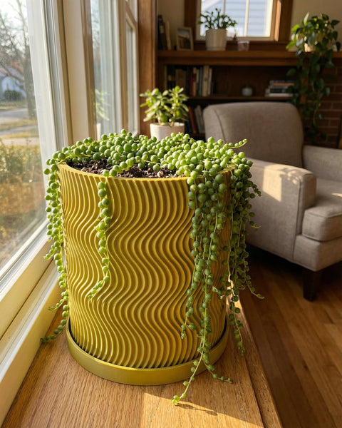 A string of pearls plant in a yellow planter pot with a wavy design, sitting on a wooden surface near a window.