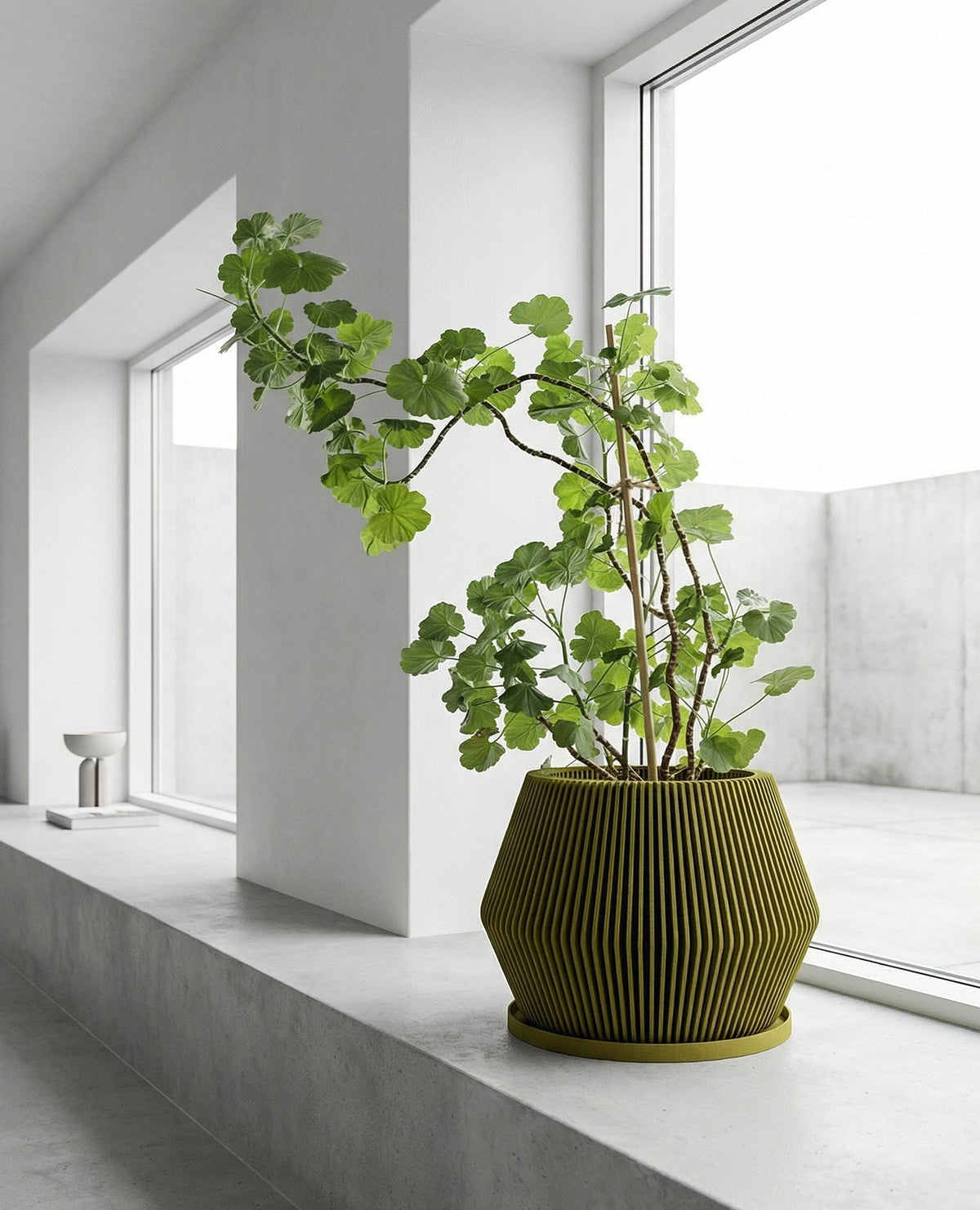 pot plant size guide Planter Pot With Drainage, Saucer Included