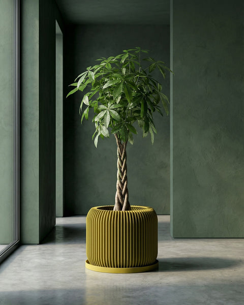 A monstera plant in a yellow geometric planter sits on a dark wood cabinet in a room with red walls. A mirror and lamp are nearby.